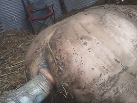 Dirty farmboy hot gay porn asian