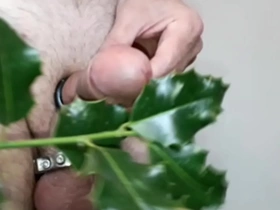 Holly for a christmas cock asian gay unseen porn