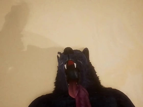 Pov two gay wolves fucking - wildlife tweet asian gay porn