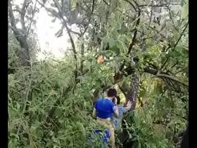 Cruising universitario japanese security gay porn