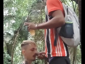 Hariel e skatista são paulino na pegaçao asian latino gay porn