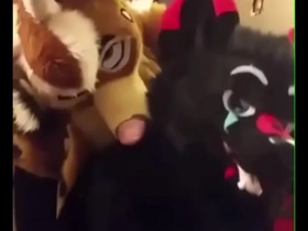 Fursuiters lose one's heart to in bathroom while lowly moans loudly chinese on white porn gay