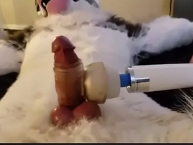 Flocculent cums 7th time near a row with wand asian affirmative old bean gay porn