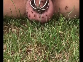 Assis dans la fourmilière twink gay porn chinese